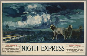 Night Express
