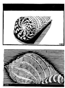 13 — Maurits Cornelis Escher