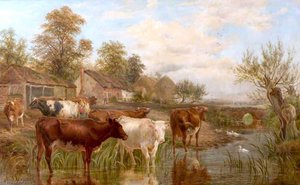 Lady Lea Farm