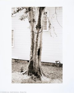 Money Tree — David Hammons