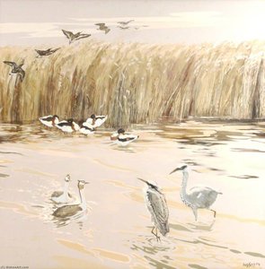 Herons