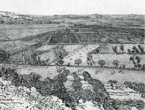 La Crau Seen From Montmajour — Vincent Willem Van Gogh, Post-impressionism