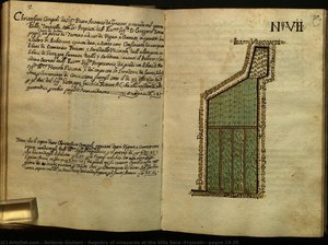 Registry Of Vineyards At The Villa Sora (frascati): Pages 19-20 — Antonio Giuliani