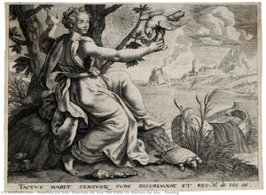 Feeling — Maerten De Vos, Maerten De Vos The Elder Or Marten De Vos