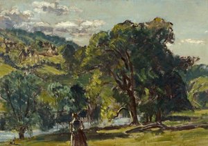The Avon Gorge at Claverton