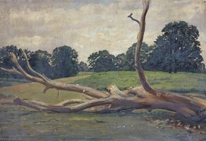 Bare Log in a Field
