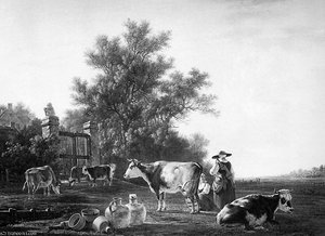 Milking Time Sun — Abraham Van Strij