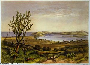 Durban, Port Natal — George French Angas
