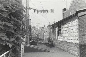 Gus, Bay Ridge, Brooklyn — Thomas Roma