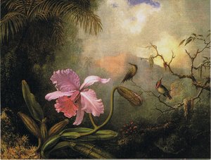 Carrleya Orchid With Two Hummingbirds — Martin Johnson Heade