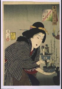 Looks Interested In Buying — Tsukioka Yoshitoshi