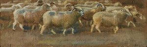 Sheep Studies (verso) — Sir Alfred James Munnings
