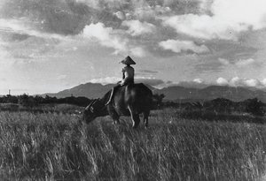 Tamsui River – Shepherd And Cow — Huang Tse-hsiu