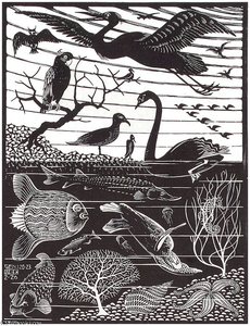 Fifth Day Of The Creation — Maurits Cornelis Escher