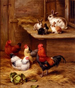 Farmyard neighbours