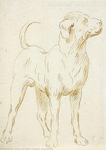 A Dog Standing — Antonio Del Castillo