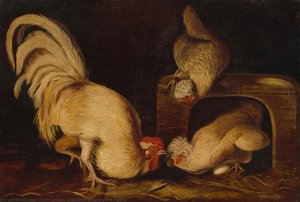 Farmyard Fowls