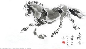 Flying On The Top — Yuan Xikun