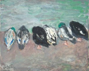 Ducks Resting