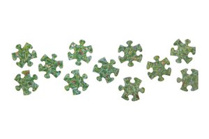 Insect Jigsaw Installation — Sally Court