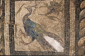 Restored Mosaic Of A Peacock — Edwin C. Brock