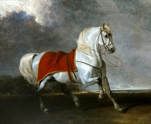 Saddled Grey Charger Frightened — Abraham Cooper