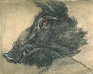 Hure De Sanglier, Tournée Vers La Gauche — Jean-baptiste Oudry