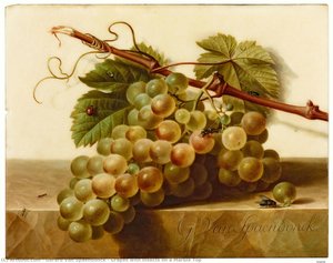 Grapes With Insects On A Marble Top — Gerard Van Spaendonck, Rococo