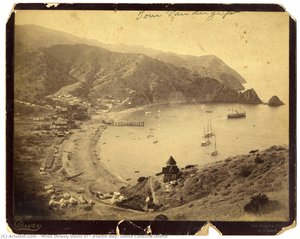 Avalon Bay, Santa Catalina Island — Miles Dewey Davis Iii