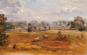 Purley Downs, Sanderstead, Surrey, 1870 — Walter William Acock