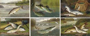 Perch; Salmon And Trout; Roach; Pike; Barbel And Chub; And Trout - The First Leap — A. Roland Knight