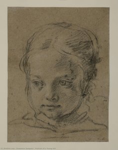 Portrait Of A Young Girl — Domenico Zampieri, Baroque