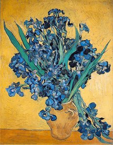 Irises — Vincent Willem Van Gogh, Post-impressionism