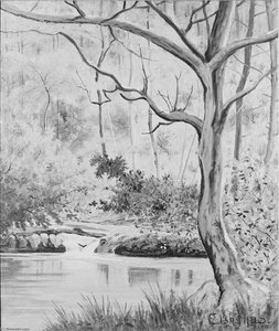 Woodland Brook — Louis Michel Eilshemius