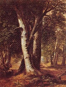 Woodland Path, Study From Nature, (painting) — Asher Brown Durand