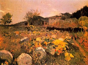 Campo De Calabazas — Joaquim Mir