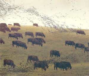 Grackles And Angus — Jamie Wyeth