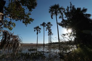 Paisagem Estação Ecológica de Águas Emendadas