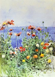 Poppies, Isles Of Shoals — Frederick Childe Hassam