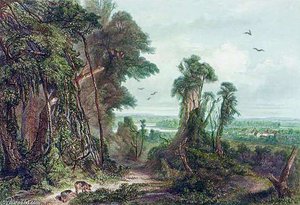 New Harmony On The Wabash Painted — Karl Bodmer