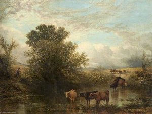 Cattle in a Pool