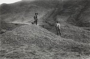 Venacio Arce And Campesino With Potato Harvest, Near Katka, Quispicanchi — Martín Chambi