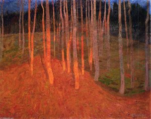 Forest At Twilight