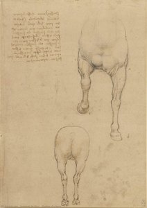 Studien Eines Pferdes — Leonardo Da Vinci