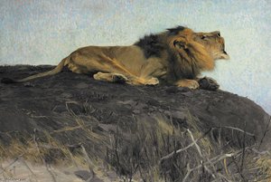 Brüllender Löwe — Friedrich Wilhelm Kuhnert