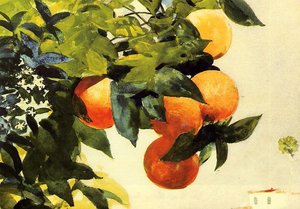 Naranjas En Una Rama — Winslow Homer, American Realism