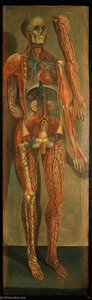 A Standing Dissected Man Showing the Viscera and Blood Vessels, with a Separate Figure of the Left Arm