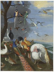 Assemblée D'oiseaux Dans Un Paysage — Jan Van Kessel