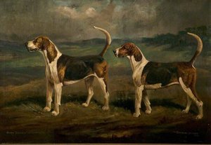 Quorn Hounds, 'cruiser' And 'woeful' — Cuthbert Bradley