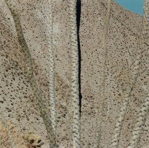 Untitled — Terry Husebye